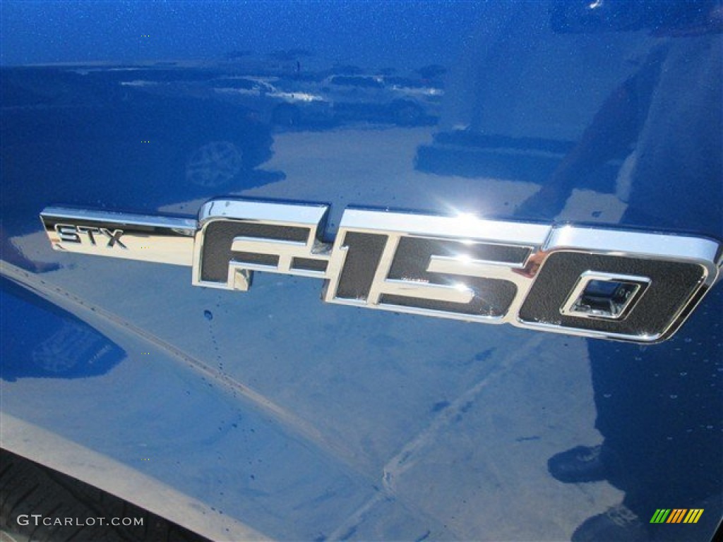 2014 F150 STX SuperCab - Blue Flame / Steel Grey photo #10
