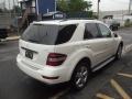 Arctic White - ML 350 4Matic Photo No. 4