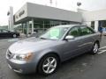 Steel Gray - Sonata SE V6 Photo No. 1