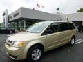 2010 White Gold Pearl Dodge Grand Caravan SE Hero #94320605