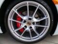  2014 911 Targa 4S Wheel