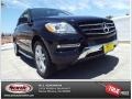 Black - ML 350 Photo No. 1