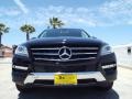 Black - ML 350 Photo No. 2