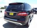 Black - ML 350 Photo No. 4