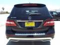 Black - ML 350 Photo No. 5