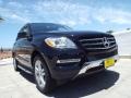 Black - ML 350 Photo No. 11