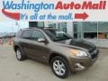 Pyrite Mica 2009 Toyota RAV4 Limited