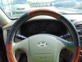 Ruby Red Metallic - Sonata GLS V6 Photo No. 16