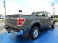 2014 Sterling Grey Ford F150 XL Regular Cab  photo #3