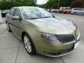 Ginger Ale 2013 Lincoln MKS EcoBoost AWD Exterior