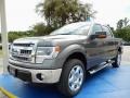 2014 Sterling Grey Ford F150 XLT SuperCrew 4x4  photo #1