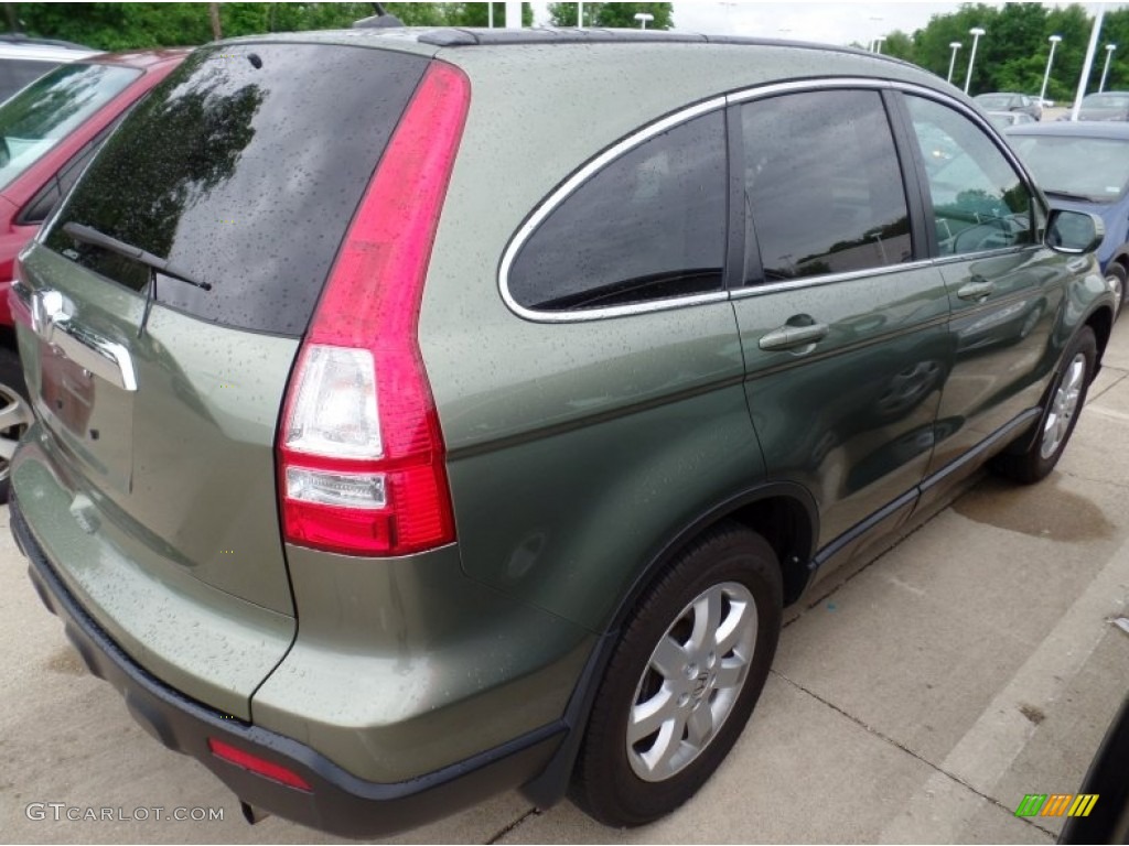 2009 CR-V EX-L 4WD - Green Tea Metallic / Ivory photo #2