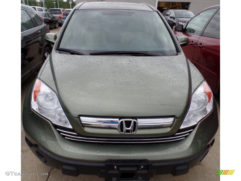 2009 CR-V EX-L 4WD - Green Tea Metallic / Ivory photo #3