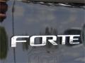 Aurora Black - Forte LX Photo No. 8