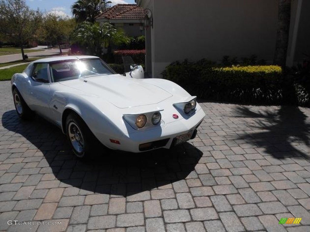 1976 Corvette Stingray Coupe - Classic White / Black photo #7