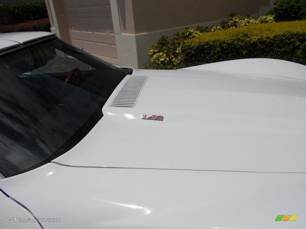 1976 Chevrolet Corvette Stingray Coupe Marks and Logos Photo #94397828