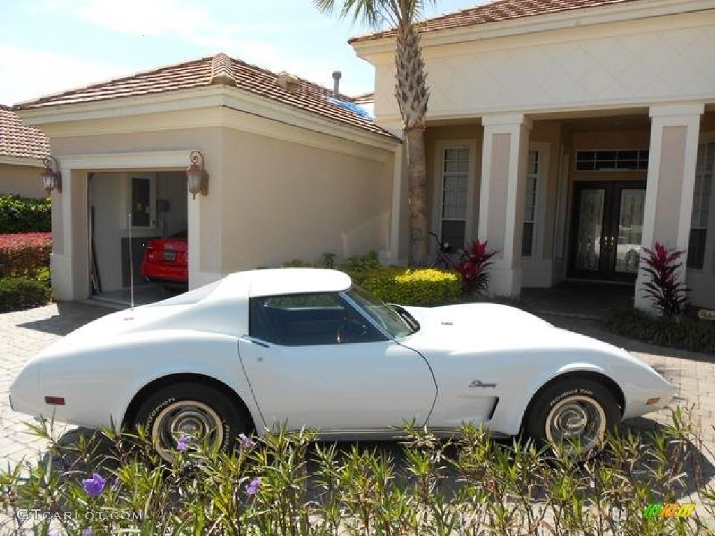 1976 Corvette Stingray Coupe - Classic White / Black photo #14