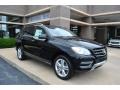 Black - ML 350 4Matic Photo No. 1
