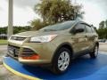 Ginger Ale Metallic 2013 Ford Escape Gallery