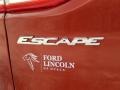 2014 Sunset Ford Escape Titanium 1.6L EcoBoost  photo #4
