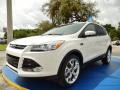 2014 White Platinum Ford Escape Titanium 2.0L EcoBoost  photo #1