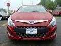 Venetian Red Pearl - Sonata Hybrid Photo No. 2