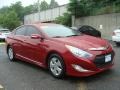 Venetian Red Pearl - Sonata Hybrid Photo No. 3