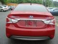 Venetian Red Pearl - Sonata Hybrid Photo No. 5