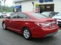 Venetian Red Pearl - Sonata Hybrid Photo No. 6