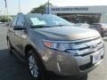 Mineral Gray Metallic 2013 Ford Edge Limited