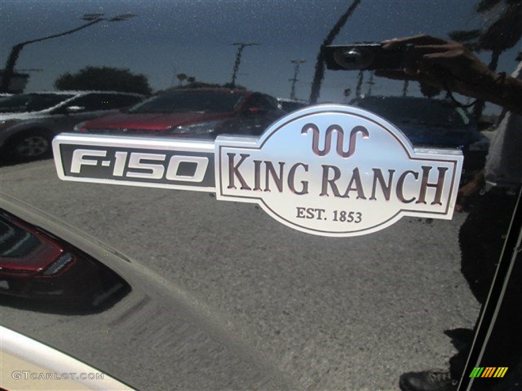 2014 F150 King Ranch SuperCrew 4x4 - Tuxedo Black / King Ranch Chaparral/Black photo #12