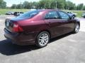 Cinnamon Metallic - Fusion SEL V6 AWD Photo No. 3