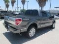 Sterling Grey - F150 Platinum SuperCrew 4x4 Photo No. 5