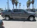 2014 Sterling Grey Ford F150 XLT SuperCrew  photo #4