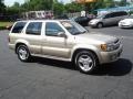 2001 Tuscan Beige Metallic Infiniti QX4 4x4  photo #4