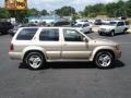 2001 Tuscan Beige Metallic Infiniti QX4 4x4  photo #5