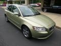 Gecko Green Metallic - S40 2.4i Photo No. 2