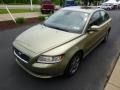 Gecko Green Metallic - S40 2.4i Photo No. 4