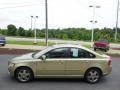 Gecko Green Metallic - S40 2.4i Photo No. 5