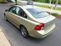 Gecko Green Metallic - S40 2.4i Photo No. 6