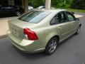 Gecko Green Metallic - S40 2.4i Photo No. 8