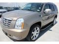 Gold Mist - Escalade AWD Photo No. 3