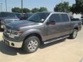 2014 Sterling Grey Ford F150 XLT SuperCrew  photo #9