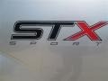 Ingot Silver - F150 STX SuperCab Photo No. 9