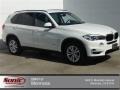 Alpine White - X5 sDrive35i Photo No. 1