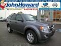 2012 Sterling Gray Metallic Ford Escape XLT 4WD  photo #1