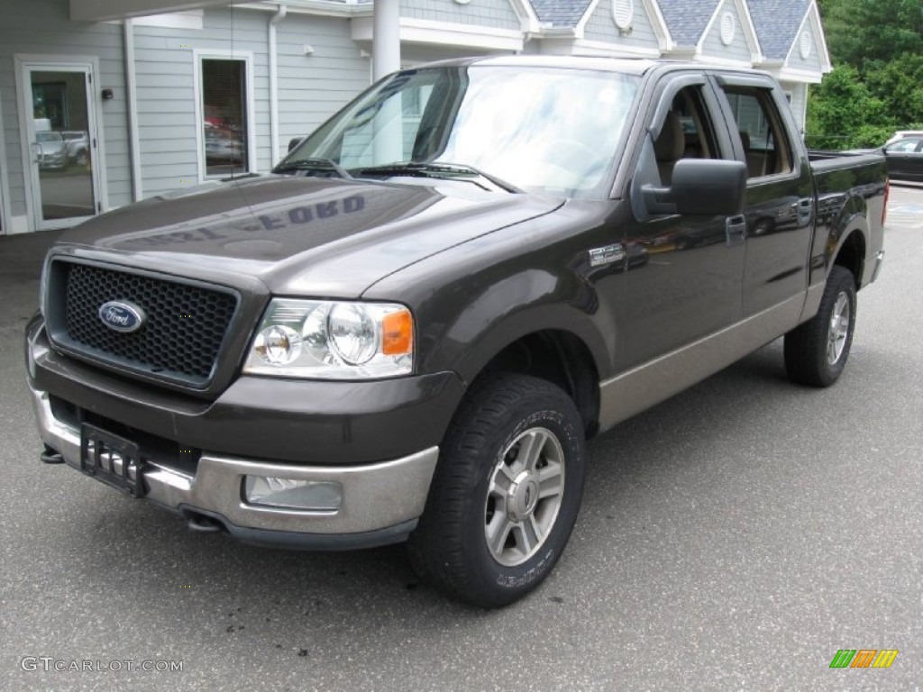 2005 F150 XLT SuperCrew 4x4 - Dark Stone Metallic / Tan photo #3