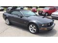 Alloy Metallic 2007 Ford Mustang Gallery