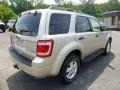 2011 Gold Leaf Metallic Ford Escape XLT V6 4WD  photo #2