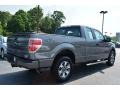 2014 Sterling Grey Ford F150 STX SuperCab  photo #4